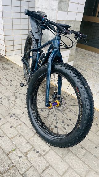 Bicicleta Fat Bike Trek Carbono