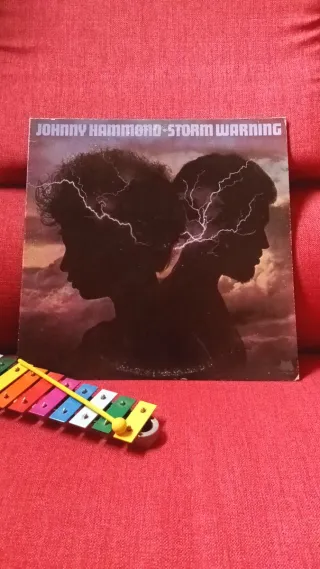 Johnny Hammond - Storm Warning LP