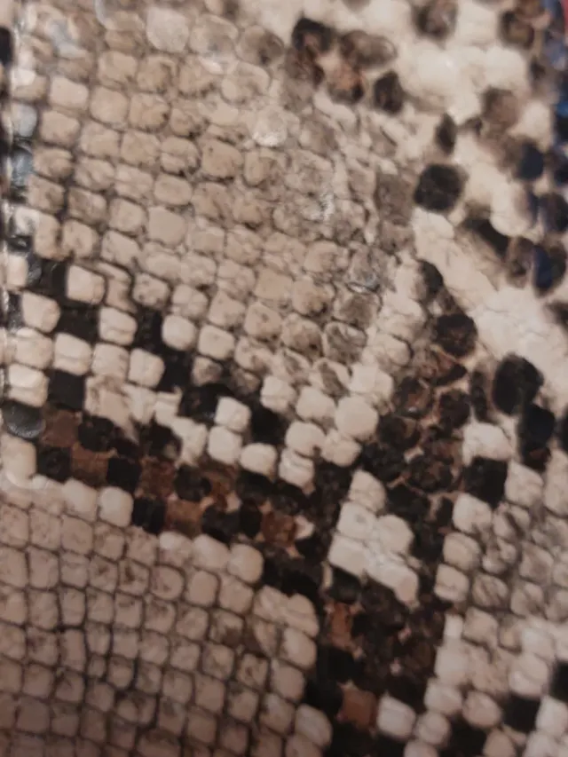 Botas altas Mango piel serpiente talla 40