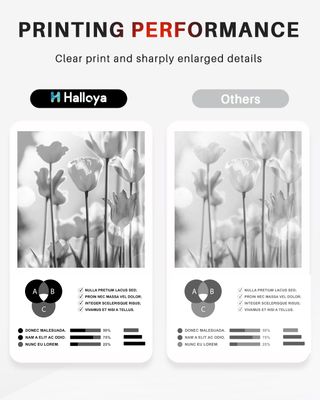 ✨ - Halloya Tambour DR2400 pour Brother DR-2400 po