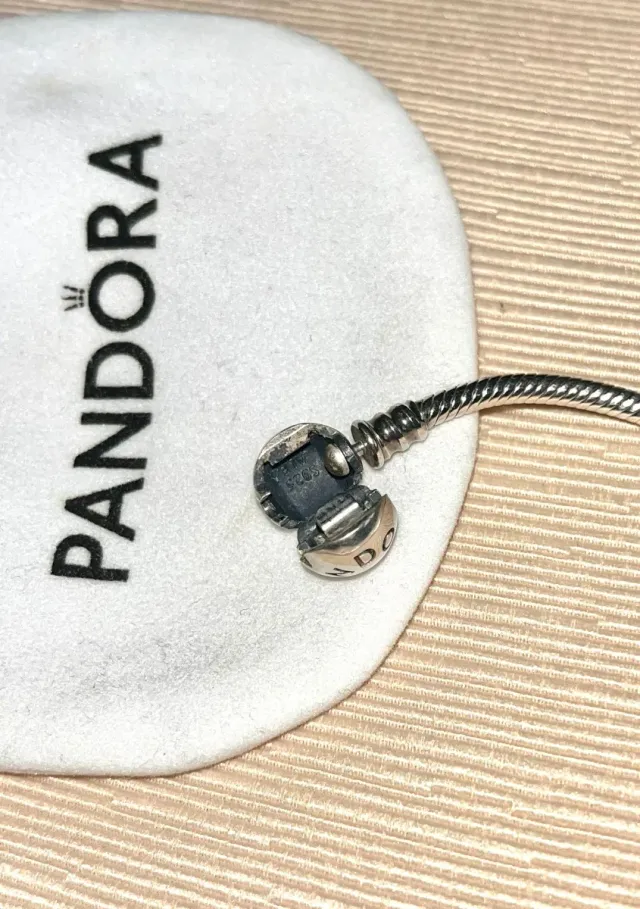 Collar Pandora ALE S925 Plata