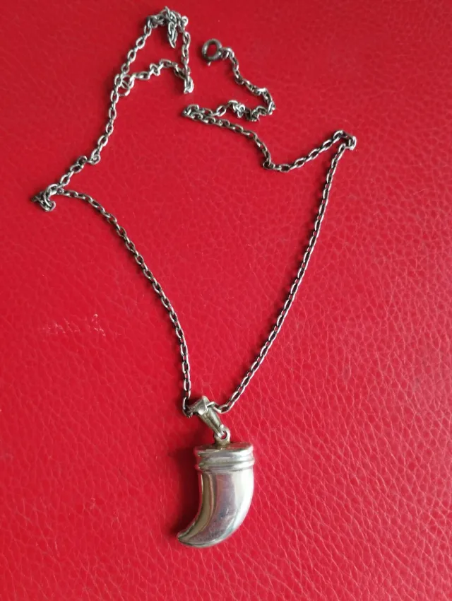 Colgante Cuerno de la Suerte Plata