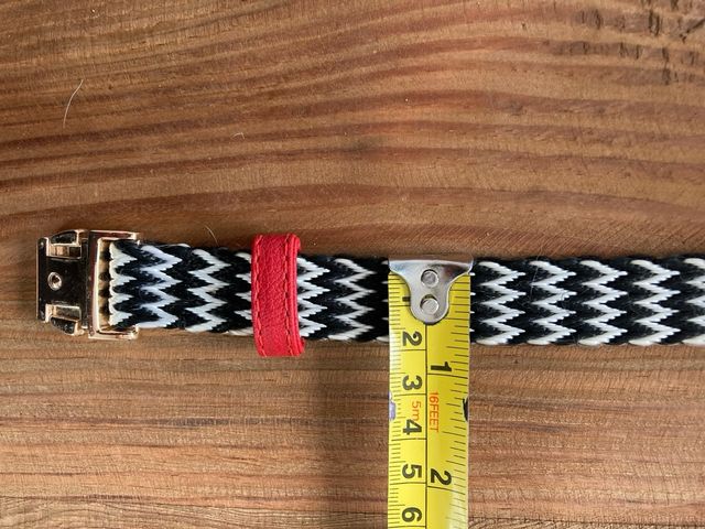 Collar para perro pequeño con hebilla