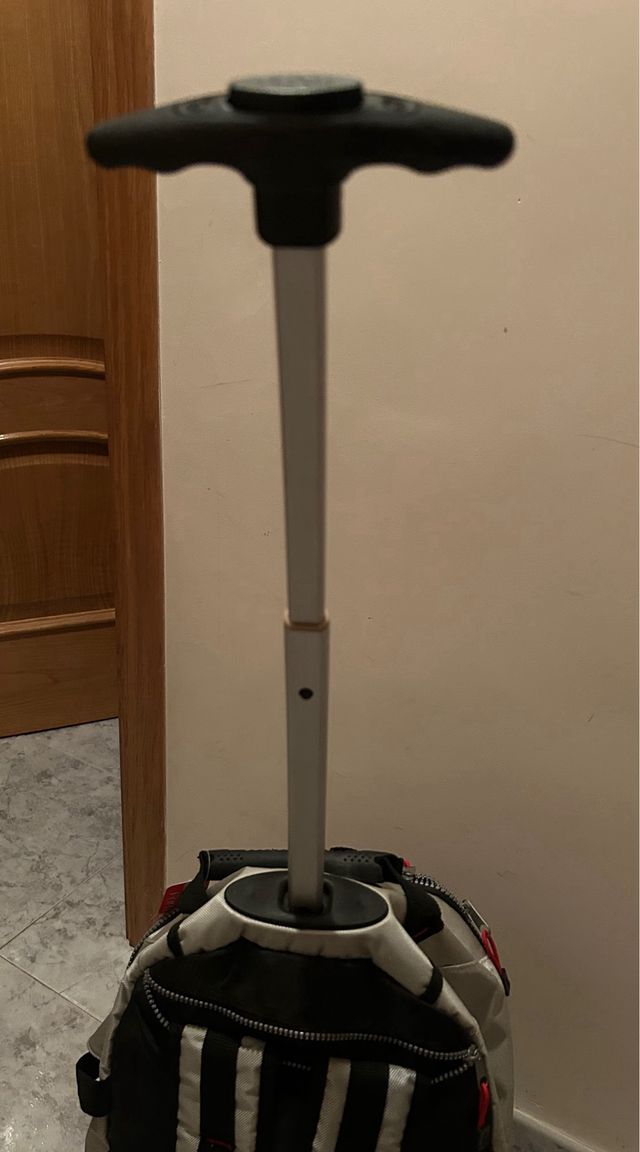 Mochila con ruedas Fortuna