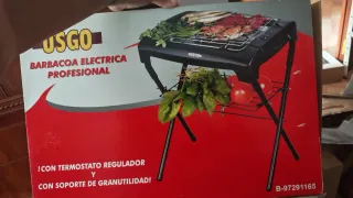 Barbecue elettrico professionale USGO