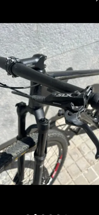 Bicicleta BTT Carbono 29 Talla L