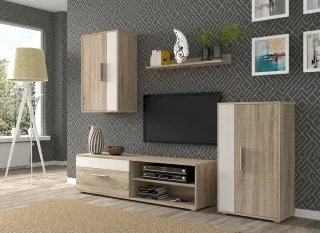 Conjunto Muebles de Salon de 4 piezas Nuevo