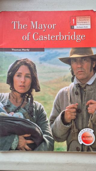 MAYOR OF CASTERBRI.BCH1 ACTIVITY