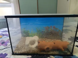 Acuario 20L con accesorios