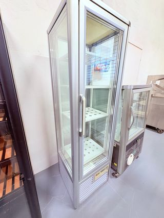 Vetrina Freezer verticale TecFrigo - Panorama 280g