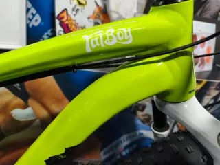 Bicicleta Fat Bike Montaña