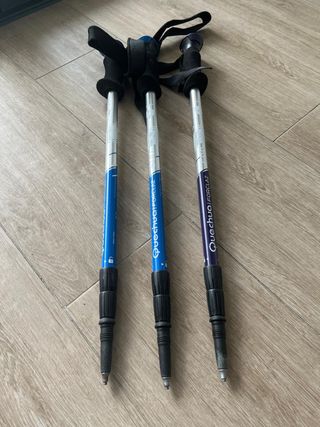 Bastones de trekking senderismo Forclaz 500