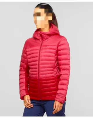 Chaqueta plumífero Salomon Haloes Down