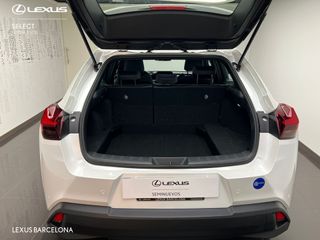 Lexus UX300 UX+ 2025 REF 9168