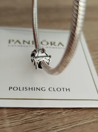 Charm Pandora Círculo Familiar Siempre 