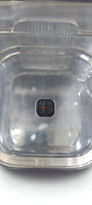 Glacette Guzzini Vintage Lucite Amanda