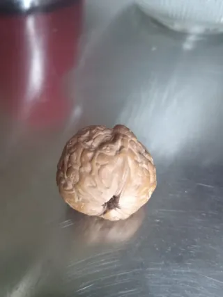 Noce intagliata, arte cinese. Hédiao