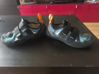 Pies de gato Tenaya y regalo