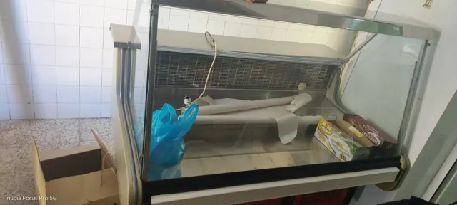 Vitrina Refrigerada MUY POCO USO