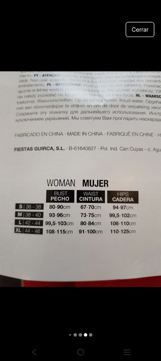 Disfraz Ladrón M