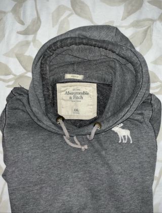 Sudadera Abercrombie & Fitch con capucha