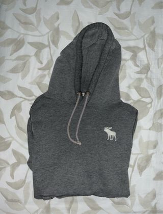 Sudadera Abercrombie & Fitch con capucha