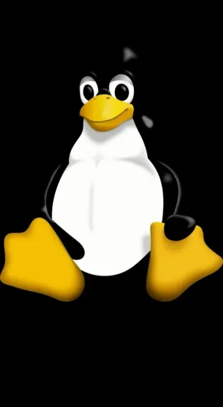 Tècnico de informática 