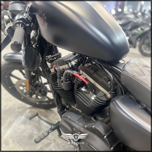 Harley-Davidson Sportster 883 - 2020