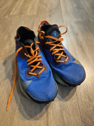 Zapatillas Nike Trail Pegasus