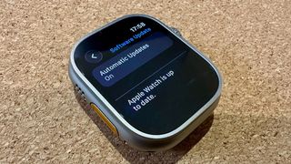 Apple Watch Ultra 49mm Titanium Green Alpine Loop