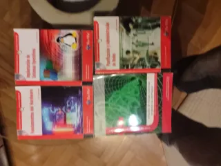 Grado superior informatica