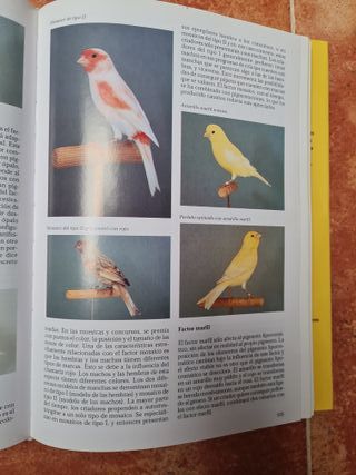 
La enciclopedia de los pajaros domésticos.