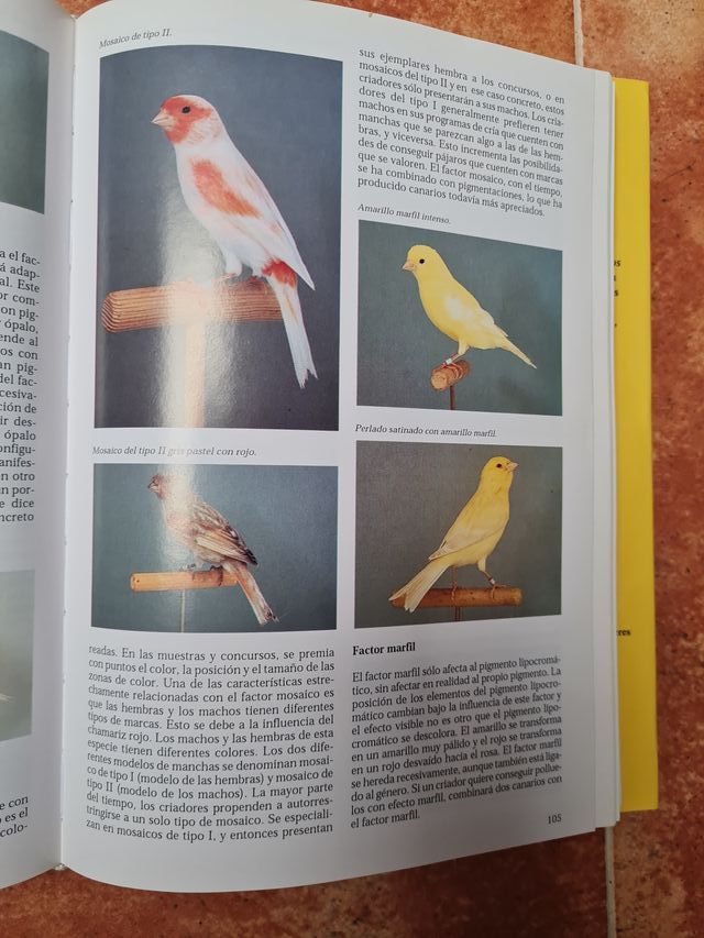 La enciclopedia de los pajaros domésticos.