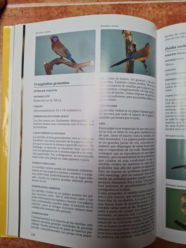 La enciclopedia de los pajaros domésticos.