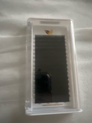 Extensiones de Pestañas Pelo a Pelo