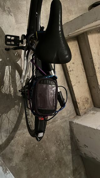 Bicicleta eléctrica