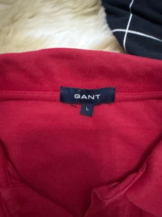 Polos Gant 