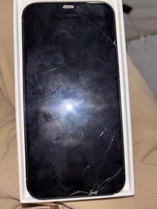 iPhone 12 Negro