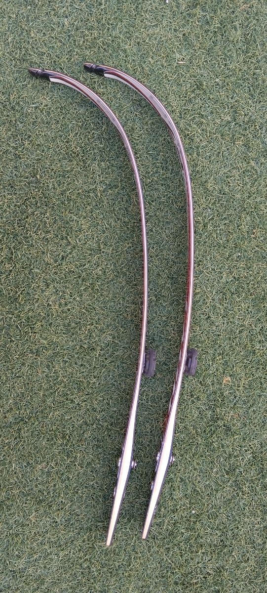 Arco Hoyt Fórmula (riser + palas)