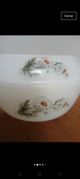 Sopera Arcopal Margaritas