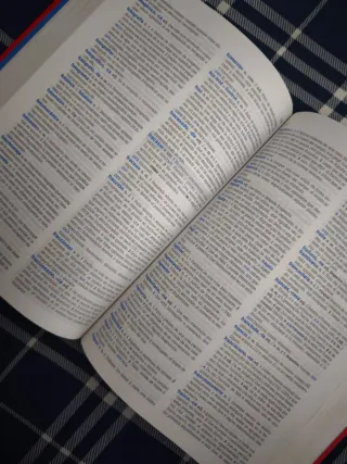 Diccionario Secundaria y Bach, lengua española.