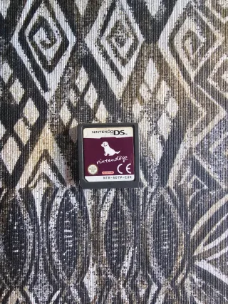 Nintendo DS