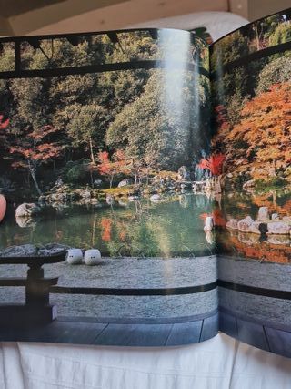 El jardín japonés (Spanish Edition)