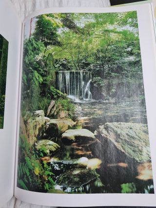 El jardín japonés (Spanish Edition)