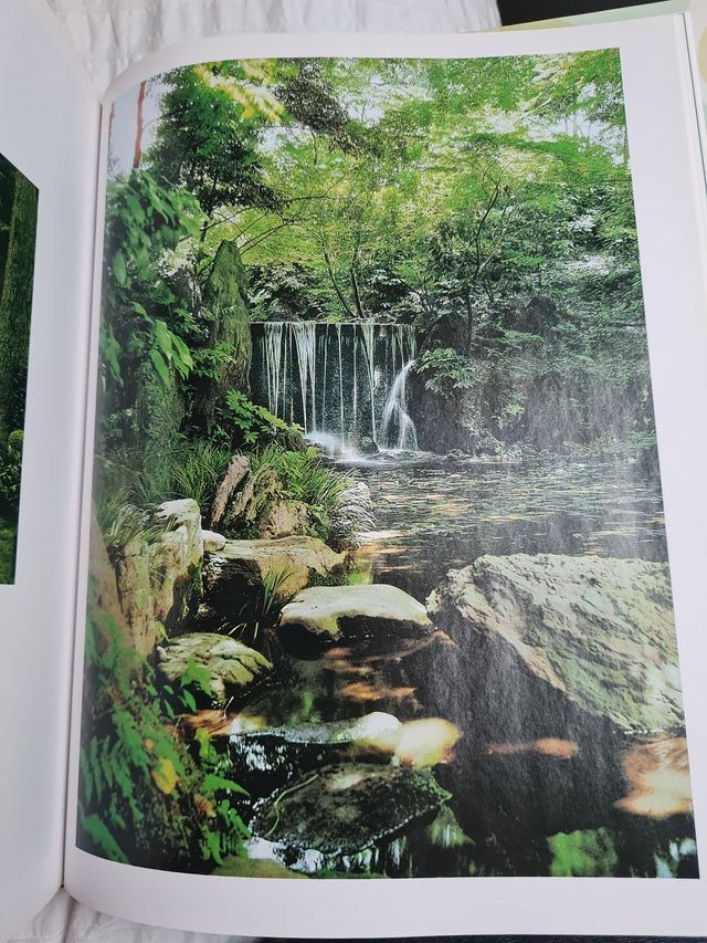 El jardín japonés (Spanish Edition)