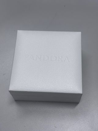 Pulsera Pandora Plata charms 