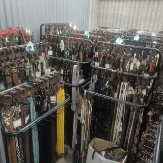 Lote de cinturones Inditex