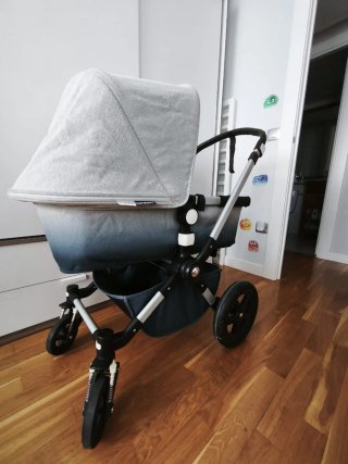 Carro y silla Bugaboo Camaleon con acessorios