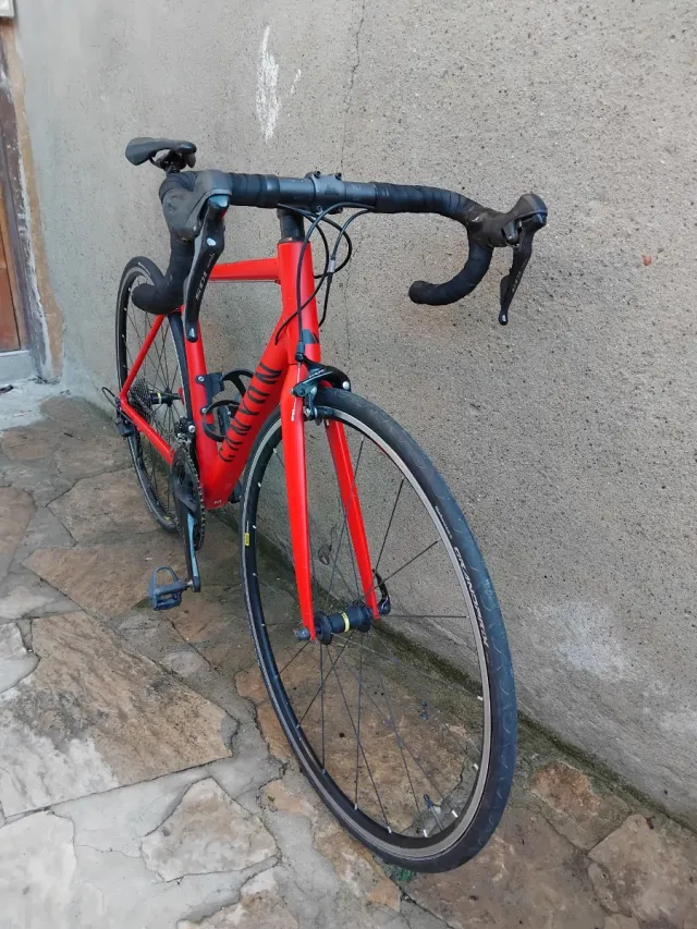 Canyon Endurace AL talla S