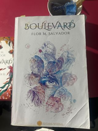 Boulevard (Spanish Edition)